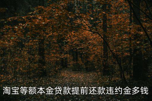 淘寶等額本金貸款提前還款違約金多錢