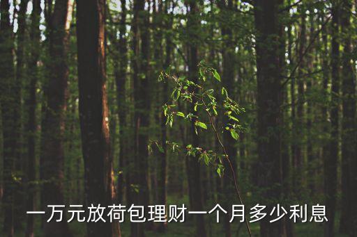 一萬元放荷包理財一個月多少利息