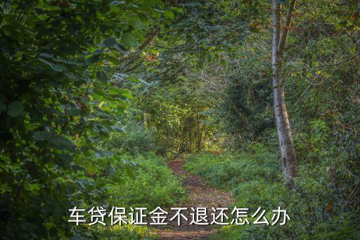車貸保證金不退怎么辦，車貸保證金不退還怎么辦