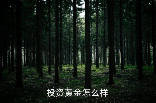 現(xiàn)在買黃金投資怎么樣，現(xiàn)在定投黃金好嗎
