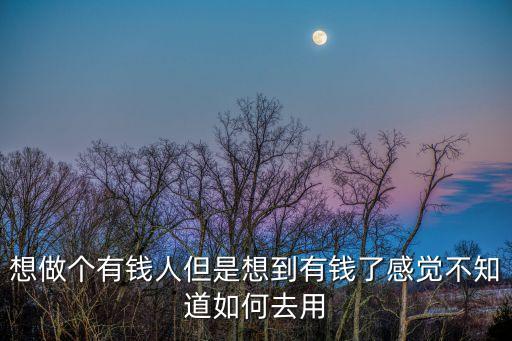 想做個有錢人但是想到有錢了感覺不知道如何去用