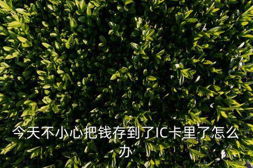 今天不小心把錢存到了IC卡里了怎么辦