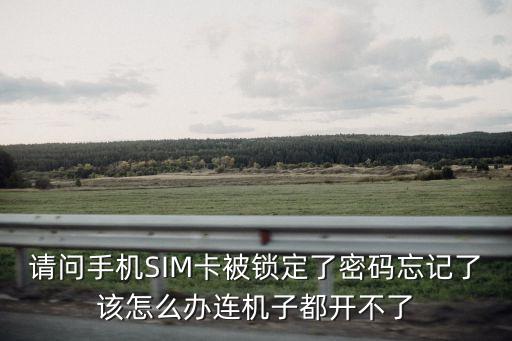 請(qǐng)問(wèn)手機(jī)SIM卡被鎖定了密碼忘記了該怎么辦連機(jī)子都開(kāi)不了