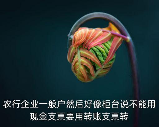 農(nóng)行企業(yè)一般戶然后好像柜臺(tái)說不能用現(xiàn)金支票要用轉(zhuǎn)賬支票轉(zhuǎn)