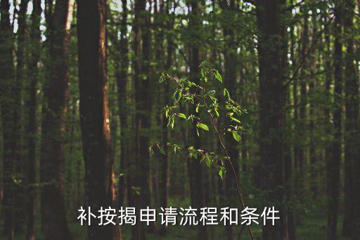 補按揭申請流程和條件