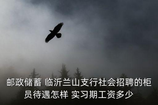 郵政儲(chǔ)蓄 臨沂蘭山支行社會(huì)招聘的柜員待遇怎樣 實(shí)習(xí)期工資多少