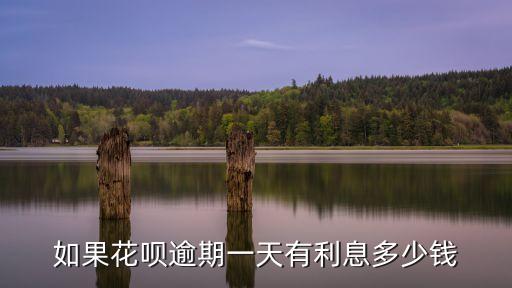 如果花唄逾期一天有利息多少錢(qián)