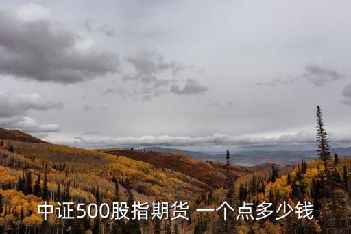 中證500股指期貨 一個點(diǎn)多少錢