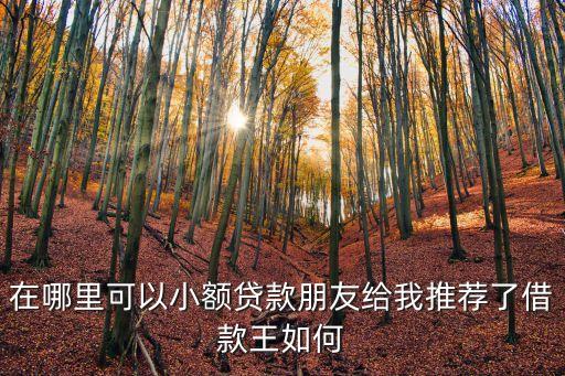 借貸王怎么樣，朋友給我介紹的借款王軟件不知道用起來怎么樣
