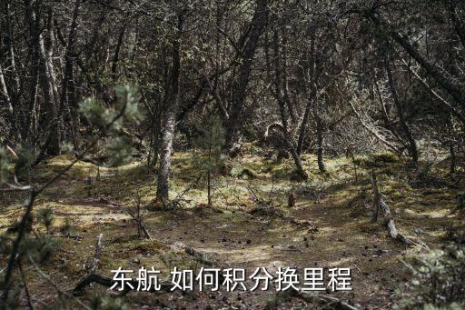 東航 如何積分換里程
