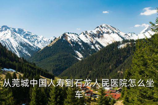 石龍到人壽保險怎么做車，到中國人壽廈門分公司怎么坐車