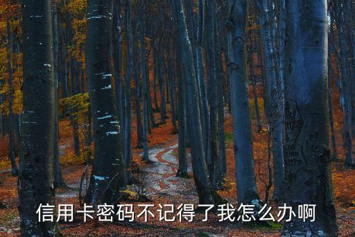 信用卡密碼不記得了我怎么辦啊