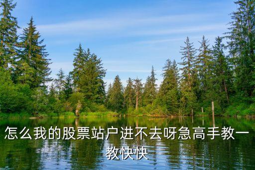 怎么我的股票站戶進不去呀急高手教一教快快