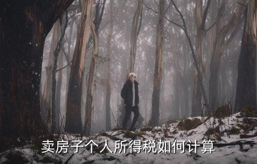 賣房子個人所得稅如何計(jì)算