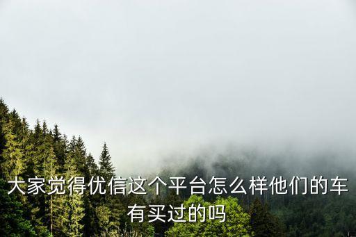 優(yōu)信庫怎么樣，有了解優(yōu)信的嗎給我說說怎么樣吧