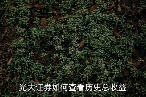 光大證券如何查看歷史總收益