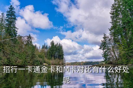 招行一卡通金卡和M卡對比有什么好處呢