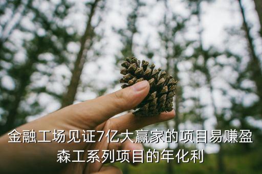 金融工場見證7億大贏家的項目易賺盈森工系列項目的年化利