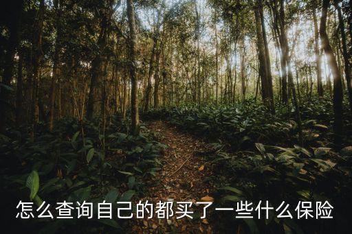 怎么查詢自己的都買了一些什么保險