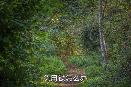 急用錢怎么辦