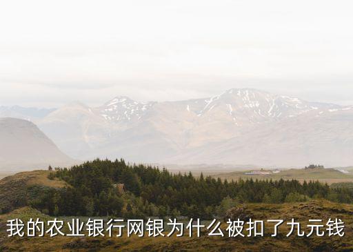 我的農(nóng)業(yè)銀行網(wǎng)銀為什么被扣了九元錢