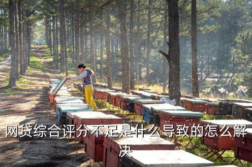 網(wǎng)貸綜合評分不足是怎么回事，網(wǎng)貸按時(shí)還款為什么還會出現(xiàn)評分不足