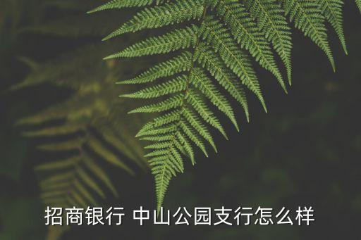 廣東省中山市招商銀行怎么樣，招商銀行 中山公園支行怎么樣