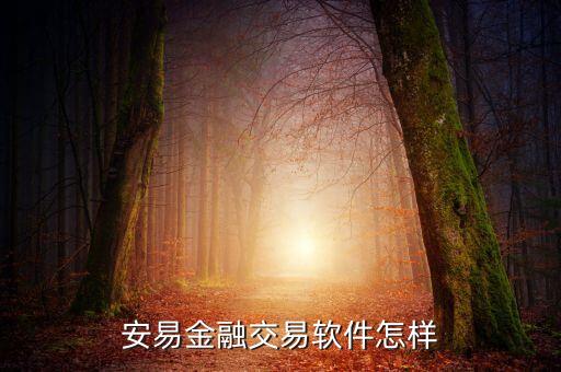 安易金融交易軟件怎樣