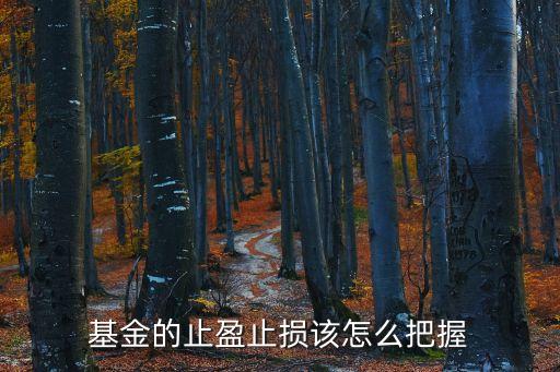 債券基金怎么止盈，關(guān)于基金止盈具體該怎么做