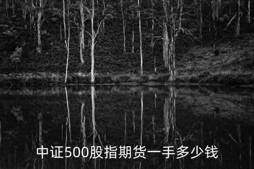 中證500股指期貨一手多少錢
