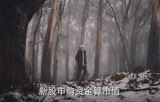 a股申購市值怎么算，新股申購市值計算到底是怎么計算的