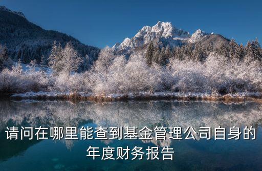 請(qǐng)問(wèn)在哪里能查到基金管理公司自身的年度財(cái)務(wù)報(bào)告