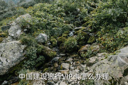 中國(guó)建設(shè)銀行VIP卡怎么辦理