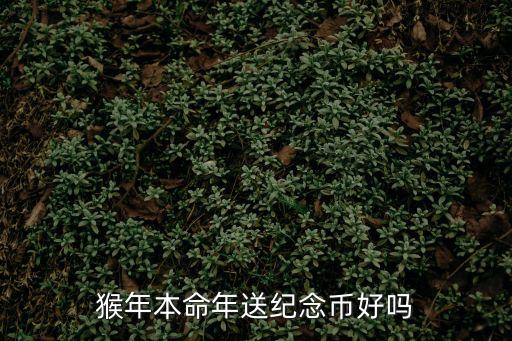 猴年本命年送紀(jì)念幣好嗎