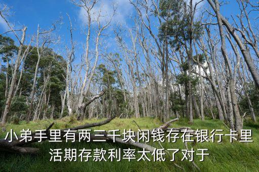 低利率閑錢(qián)怎么辦，負(fù)利率時(shí)代閑置資金該怎么辦