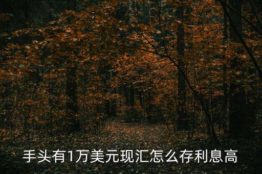 手頭有1萬美元現匯怎么存利息高