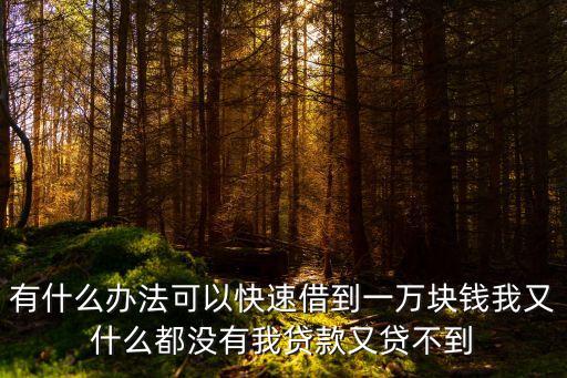怎么快速借到1萬元，有什么辦法可以快速借到一萬塊錢我又什么都沒有我貸款又貸不到