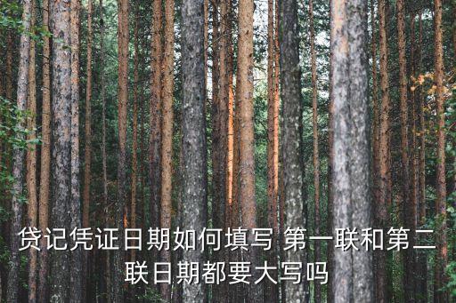 貸記憑證日期如何填寫 第一聯(lián)和第二聯(lián)日期都要大寫嗎