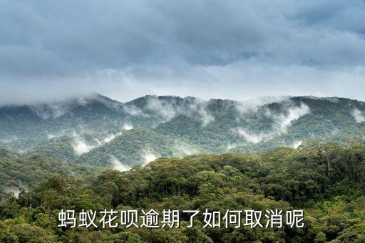 花唄有逾期怎么消除，螞蟻花唄逾期了如何取消呢