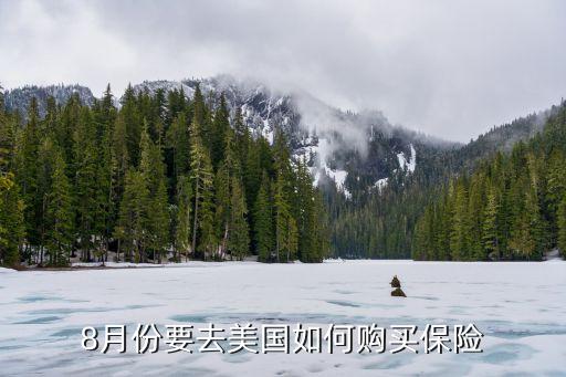 8月份要去美國(guó)如何購(gòu)買(mǎi)保險(xiǎn)