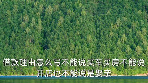借款理由怎么寫不能說買車買房不能說開店也不能說是娶親