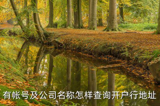 怎么知道開戶銀行是哪，怎么查開戶行