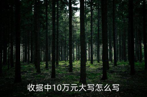 收據(jù)中10萬元大寫怎么寫