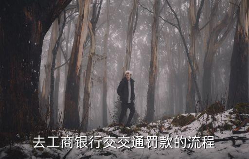 違章工商銀行怎么辦理，去工商銀行交交通罰款的流程