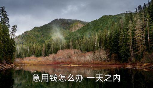急用錢怎么辦 一天之內(nèi)