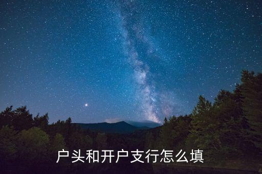 戶頭和開戶支行怎么填