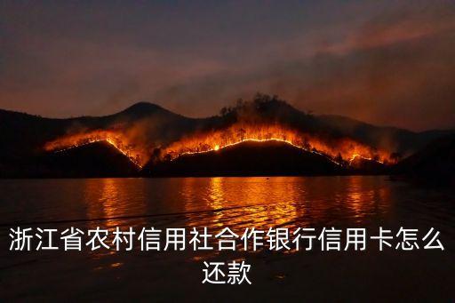 浙江農(nóng)村信用社信用卡怎么還款，信用卡還款怎么還