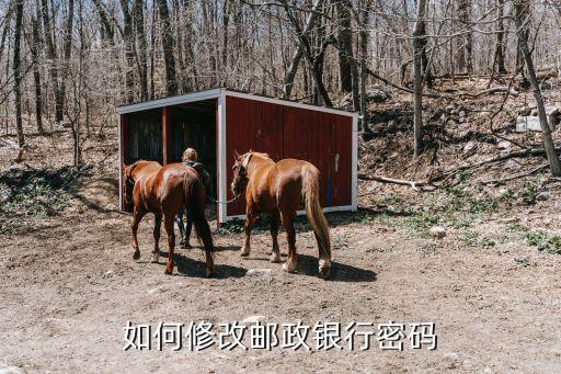 郵局卡怎么改密碼，我把郵政卡的密碼忘記了怎么才能修改密碼詳細