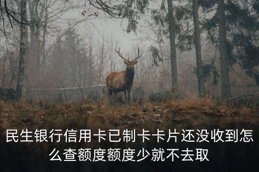 民生已產(chǎn)生卡片怎么查額度，民生卡已批怎么查額度