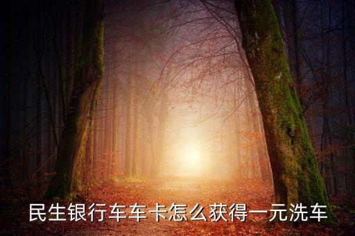 民生一元洗車怎么兌換，我有民生銀行的信用卡可以洗車嗎